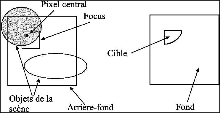 Segmentation de la zone fovale